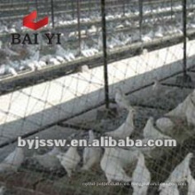 Racing Pigeon Breeding Cage